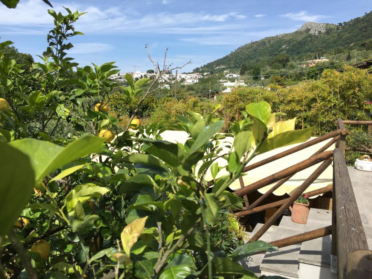 Relais Villa Anna Anacapri  Exteriér fotografie